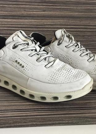 Кросівки жіночі ecco