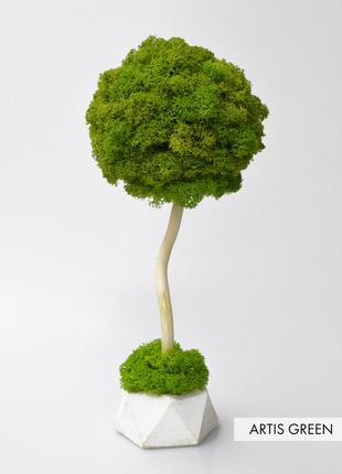 Декоративне дерево з справжнім мохом fresh tree, топіари 20 cm1 фото