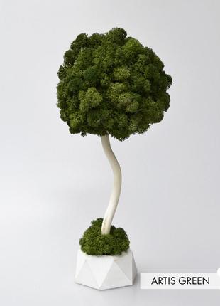 Декоративное дерево с настоящим мхом, топиарий dark tree, 20 cm