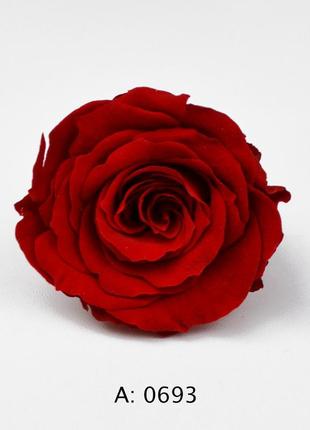Роза красная средняя ø3,5-4,5 см verona red, 6 шт/упаковка2 фото