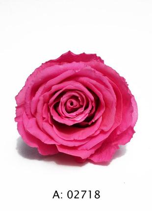 Роза розовая большая ø5-6 см pink, 4 шт/упаковка2 фото