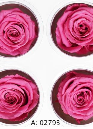 Троянда рожева велика ø5-6 см pink, 4 шт/упаковка