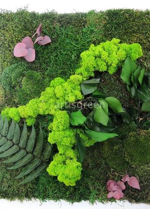 Картина з стабілізованих рослин та моху1 фото