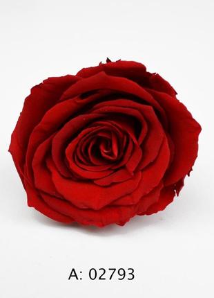 Роза красная большая ø5-6 см verona red, 1 бутон