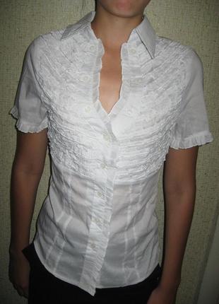 Белая блуза1 фото