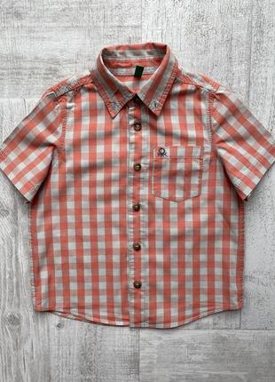 Стильна сорочка з коротким рукавом