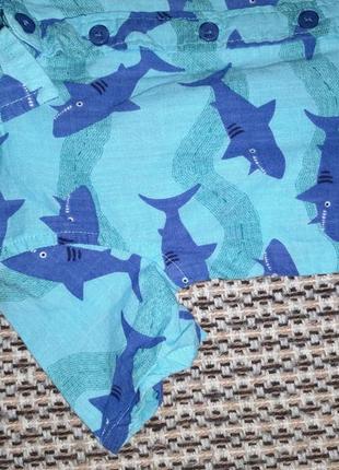 Боді-сорочка з акулами 🦈5 фото