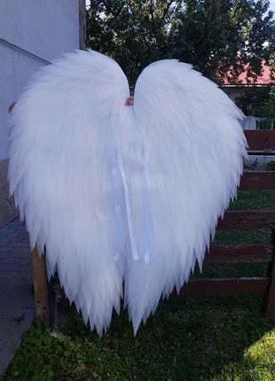 Великі крила ангела для фотосесії