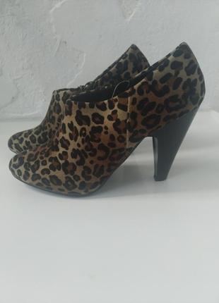 Ботильйони підлозі черевички в леопардовий принт 37 розміру