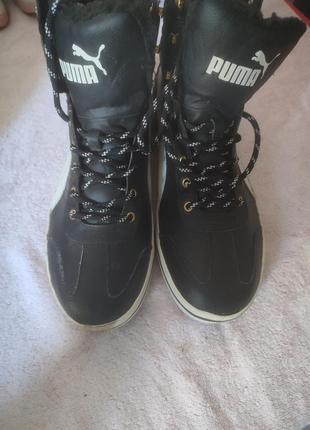 Кеди puma
