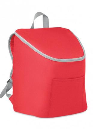 Термо-рюкзак з кишенею та підкладкою з алюмінієвої фольги, 20 л1 фото