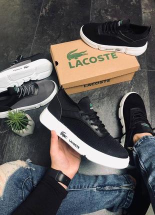 Чоловічі білі кросівки, кеди lacoste кеді кросівки чорні з білим 40-44