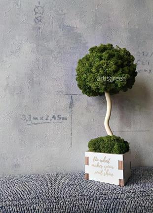 Еко-дерево мох 30 див. топіарі у бетонній білому кашпо з стабілізованого моху, т373 фото
