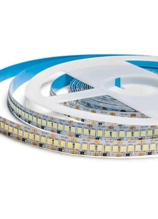 Светодиодная led лента гибкая prolum ™ series "pro" 12v ip20 2835 \ 240 белый (5500-6000к)