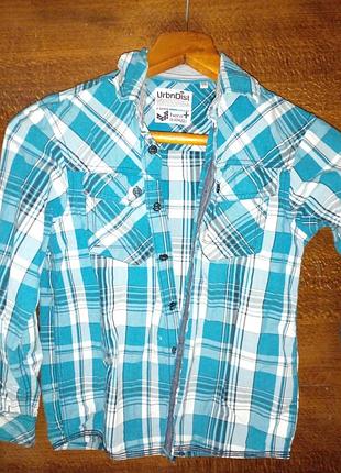 Сорочки на хлопчика