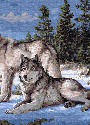 Картина за номерами картина за номерами 40х50см. gx28845 зимові вовки rainbow на складі