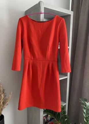 Сукня жіноча