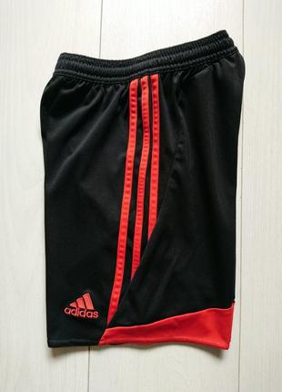 Спортивні шорти adidas9 фото