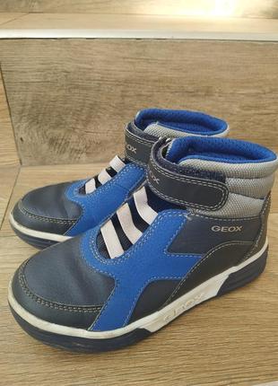 Кеді geox 31 р.
