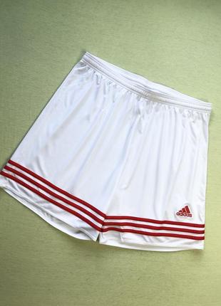 Шорты adidas climalite