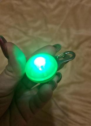 Светлячек на ошейник  зелёный