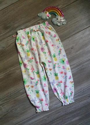 Брюки штаны летние с фламинго идеал next 2-3г2 фото
