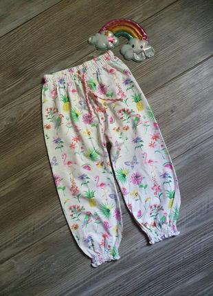 Брюки штаны летние с фламинго идеал next 2-3г1 фото