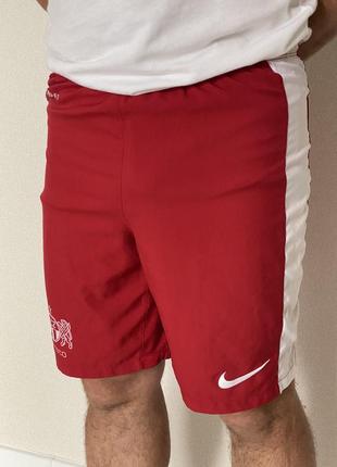 Шорти чоловічі nike оригінал