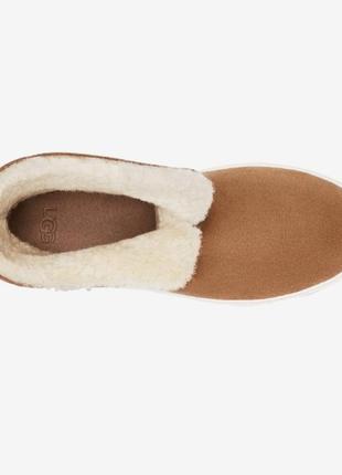 Ugg ботинки. уги. зимние ботинки. сапоги ugg2 фото