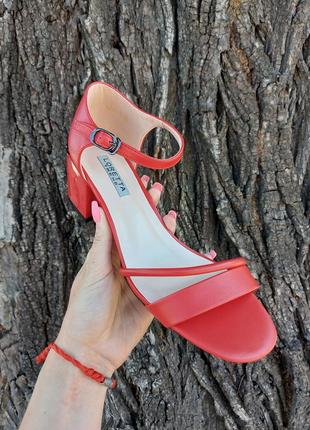 Босоножки мюли 🌿 средний каблук сланцы сандалии сабо классика босоніжки4 фото