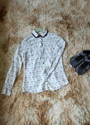 Блуза з котиками