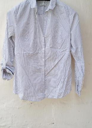 Базова котонова біла сорочка в сирі смужки colin's