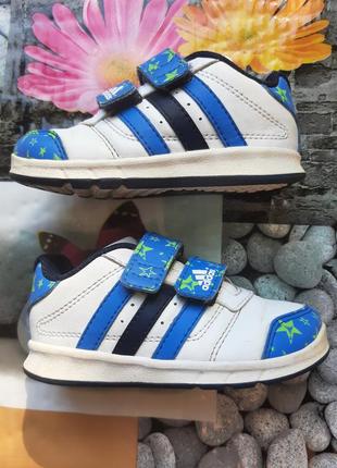 Кросівки adidas 22