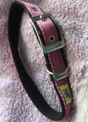 Ошейник яркий