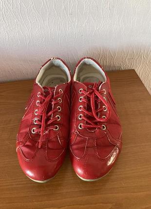 Красные кроссовки geox 36  до 10 січня1 фото