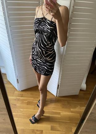 Плаття zara зебровий принт зебра платье сукня нова колекція9 фото