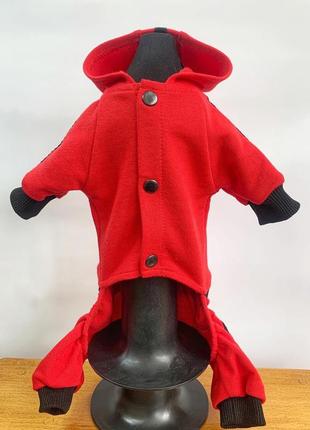 Одежда для собак красный комбинезон на собаку маленьких пород4 фото