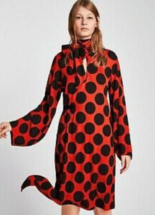 Красное платье в горох от zara