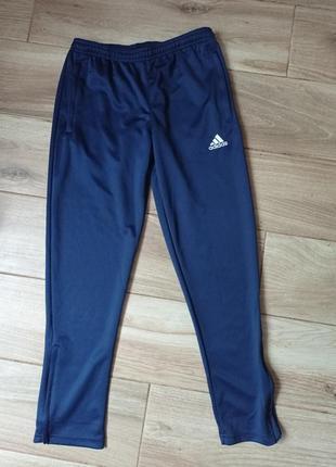 Штани спортивні adidas climalite 11-12р.2 фото