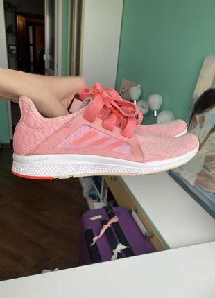 Кросівки adidas
