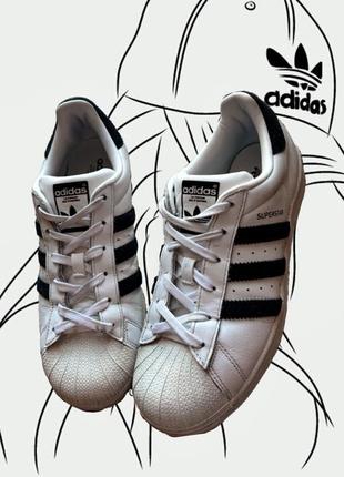Кросівки adidas superstar