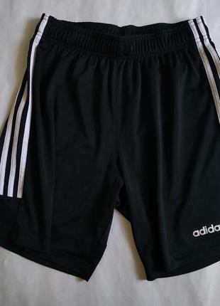 Шорты adidas climalite
