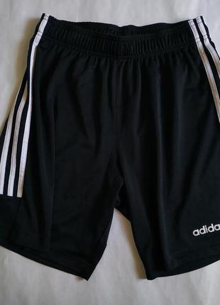 Шорти adidas climalite