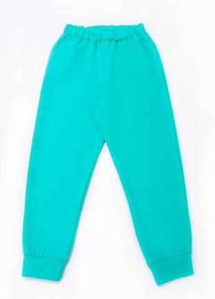 Утеплені спортивні штани в кольорах 🎨 спортивні штани з начосом, утеплені спортивні штани6 фото