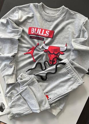 Спортивний костюм chicago bulls jordan4 фото