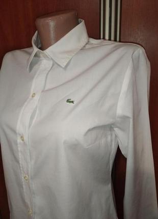 Белая рубашка, сорочка lacoste3 фото