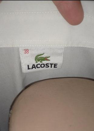 Белая рубашка, сорочка lacoste6 фото