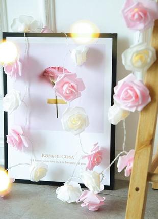 Гірлянда троянди рози квіти 20 лампочок на 3м на батарейках рожево-білі5 фото