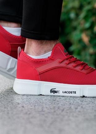 Кросівки lacoste