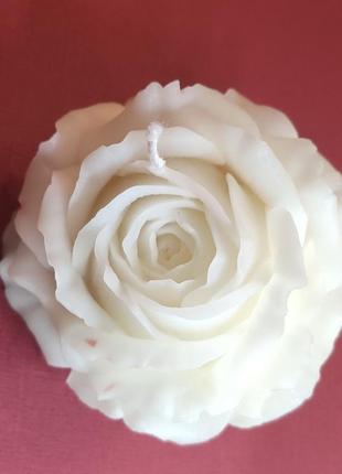 Свічка біла троянда7 фото